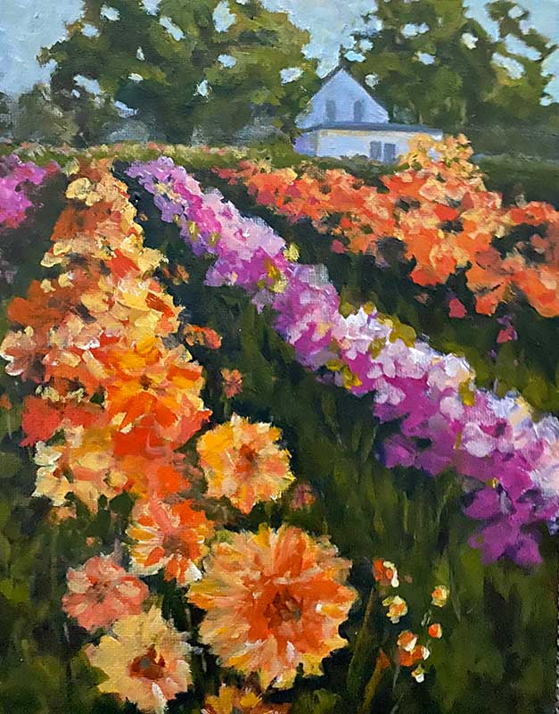 Field of Dahlias